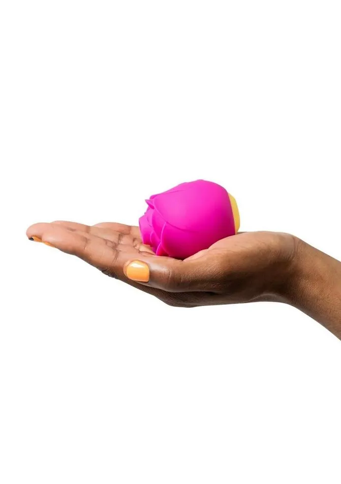 Romp Romp Vibrators